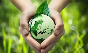 新半岛官网零碳（近零碳）发展战略和实施方案